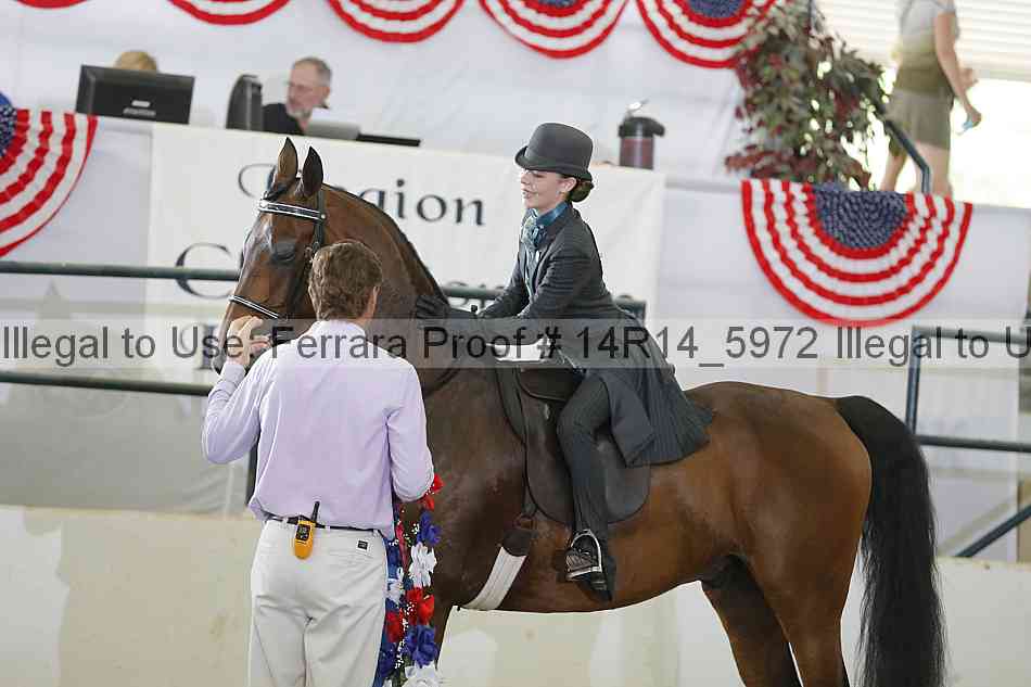 Proof Number 14r14_5972