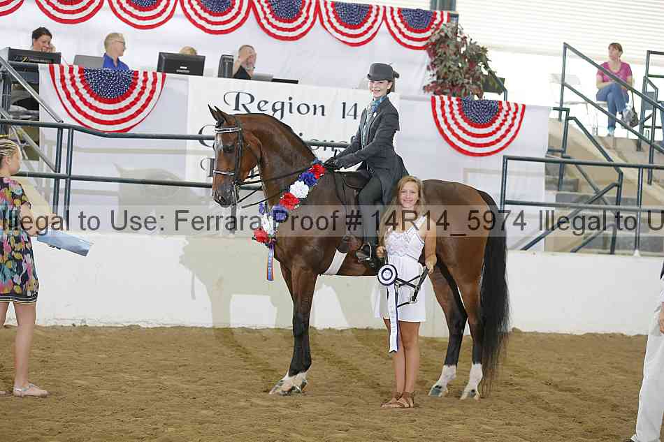 Proof Number 14r14_5974
