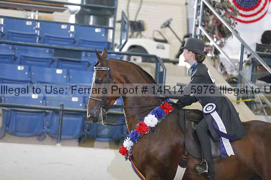 Proof Number 14r14_5976