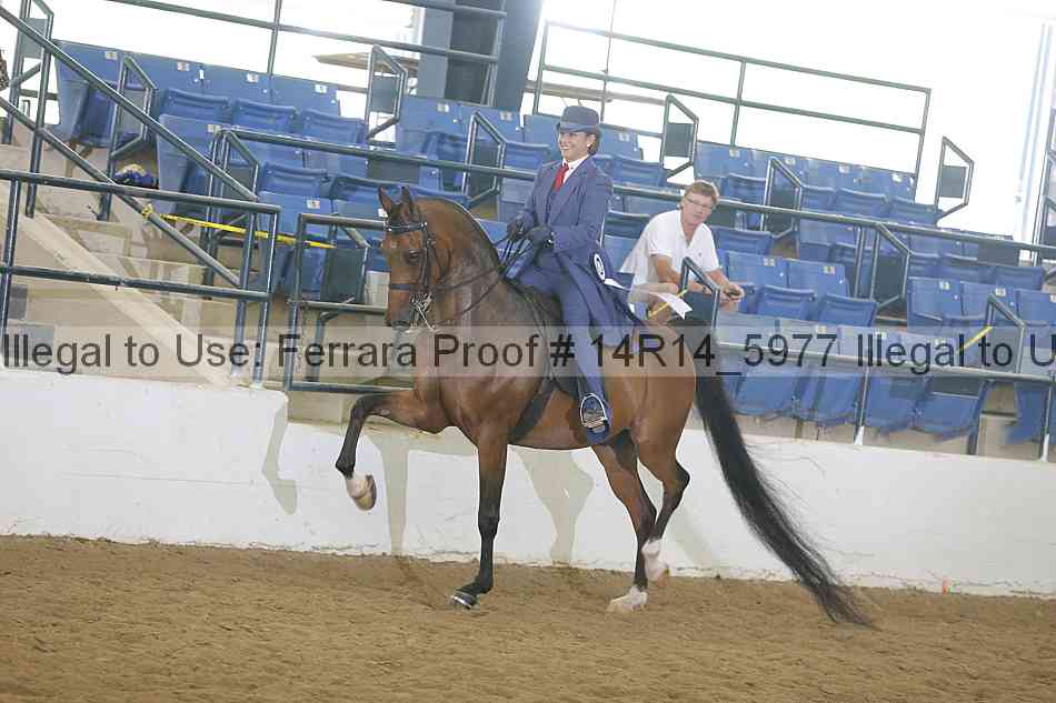 Proof Number 14r14_5977