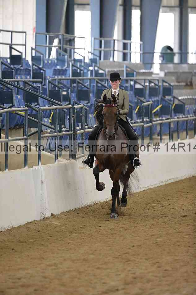 Proof Number 14r14_5990