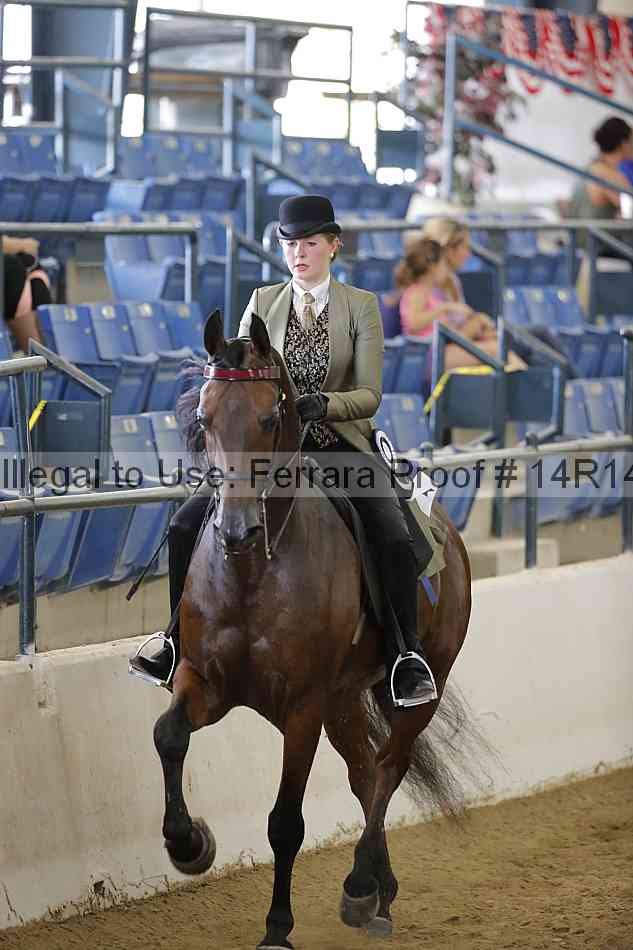Proof Number 14r14_5994