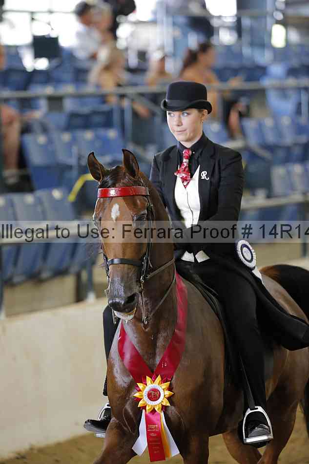Proof Number 14r14_6001