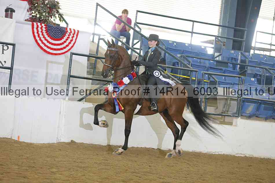 Proof Number 14r14_6003