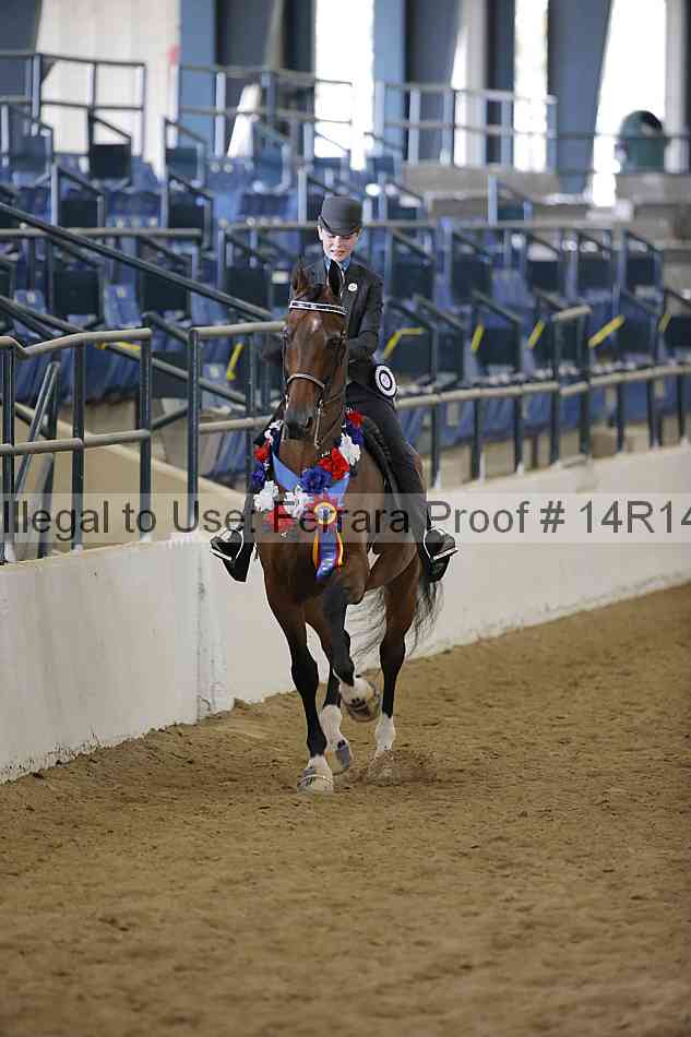 Proof Number 14r14_6005