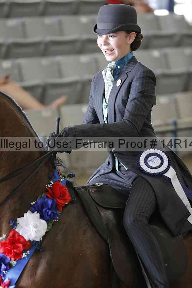 Proof Number 14r14_6009