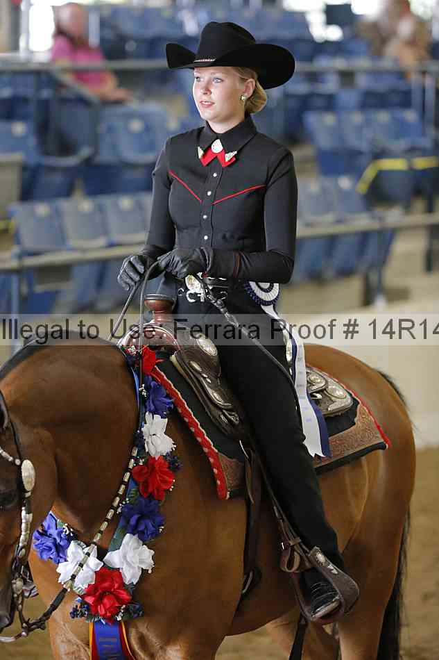 Proof Number 14r14_6023