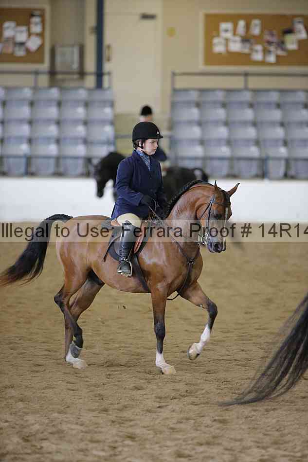 Proof Number 14r14_6045