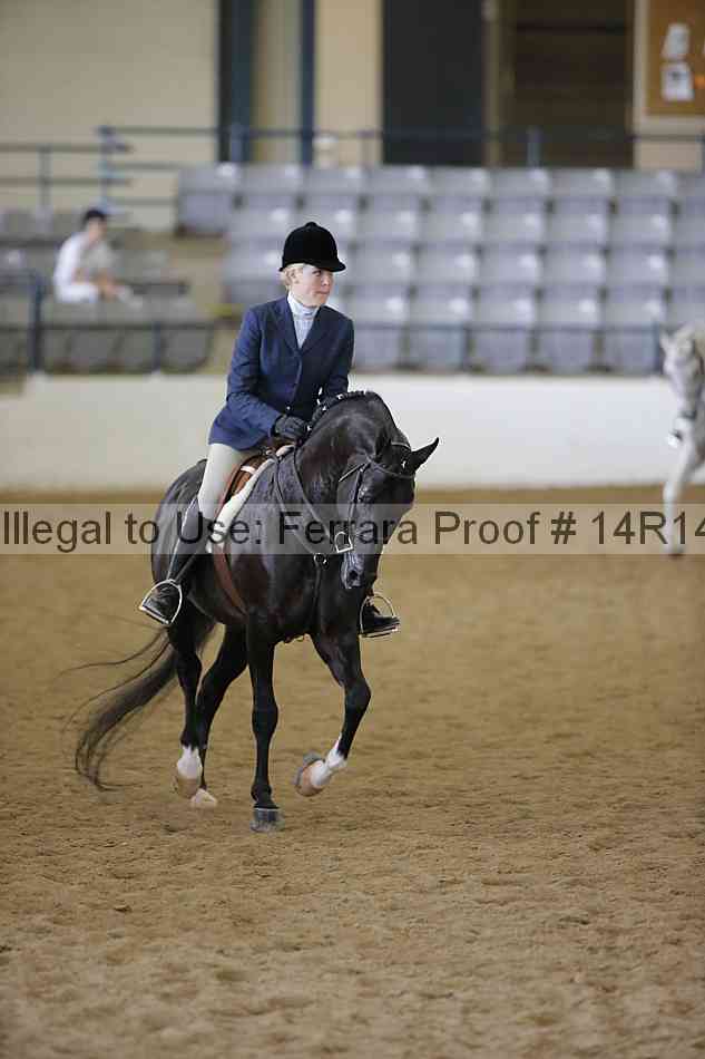 Proof Number 14r14_6048