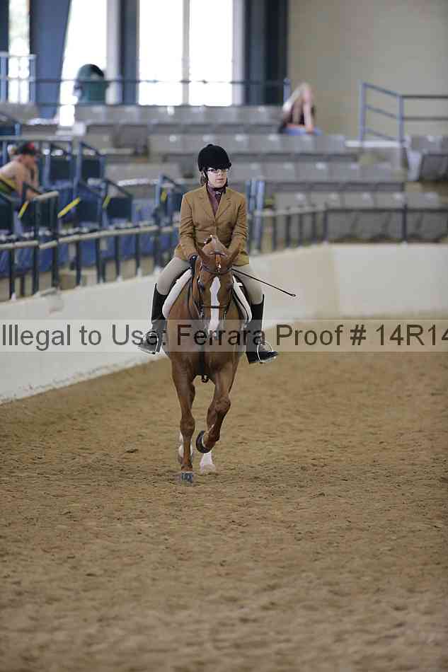 Proof Number 14r14_6049