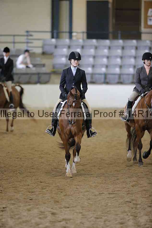 Proof Number 14r14_6051