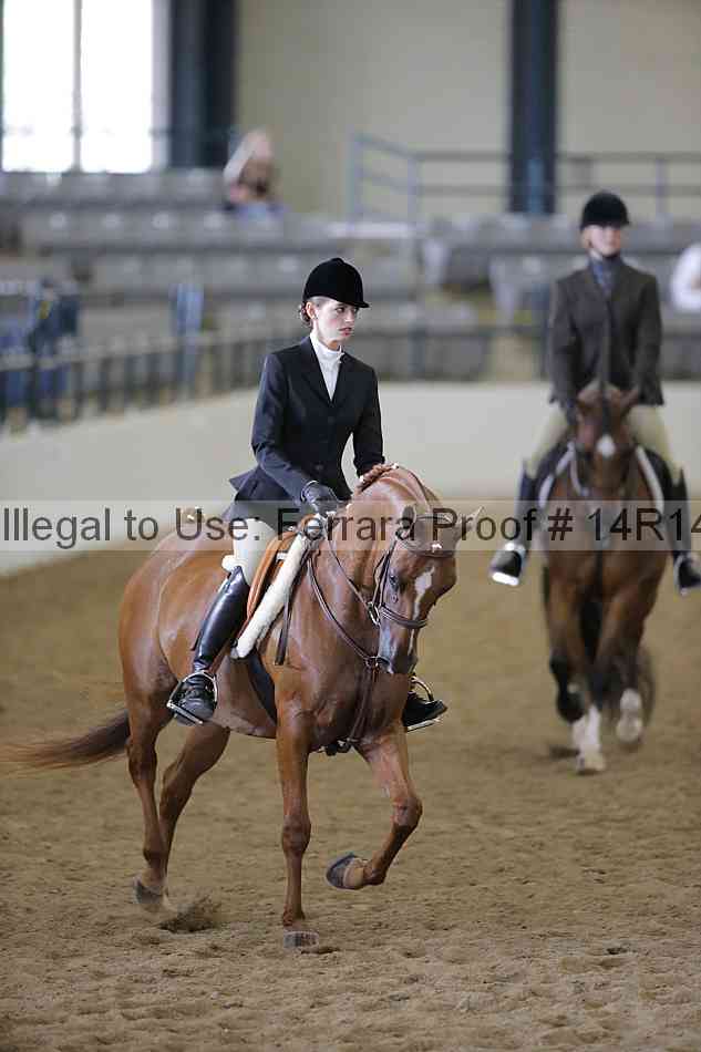 Proof Number 14r14_6054