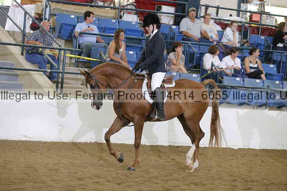 Proof Number 14r14_6055