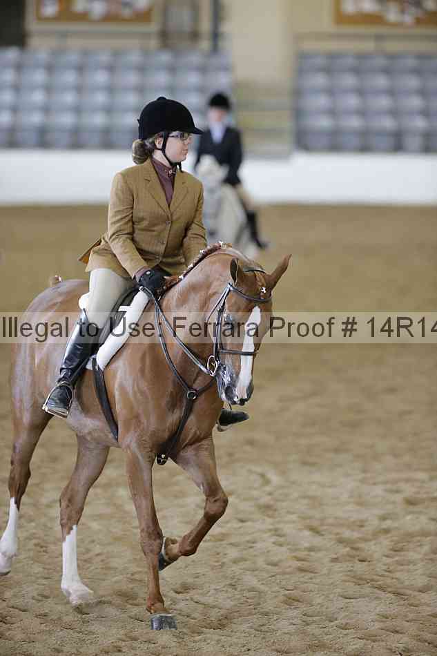 Proof Number 14r14_6064
