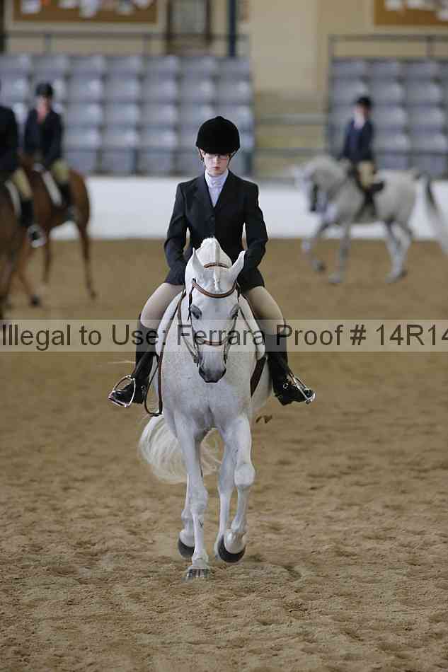 Proof Number 14r14_6065