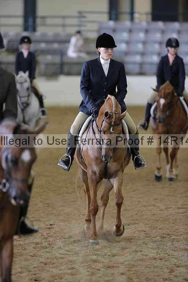 Proof Number 14r14_6068