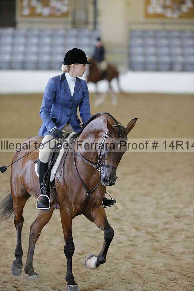 Proof Number 14r14_6071