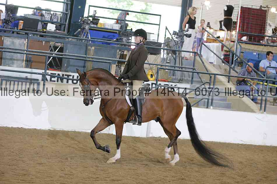 Proof Number 14r14_6073