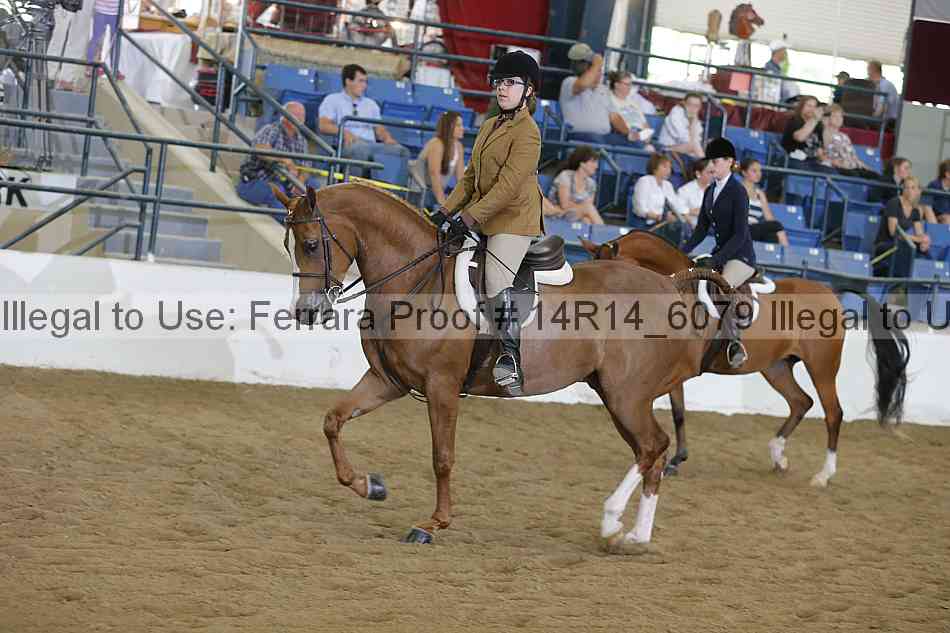 Proof Number 14r14_6079