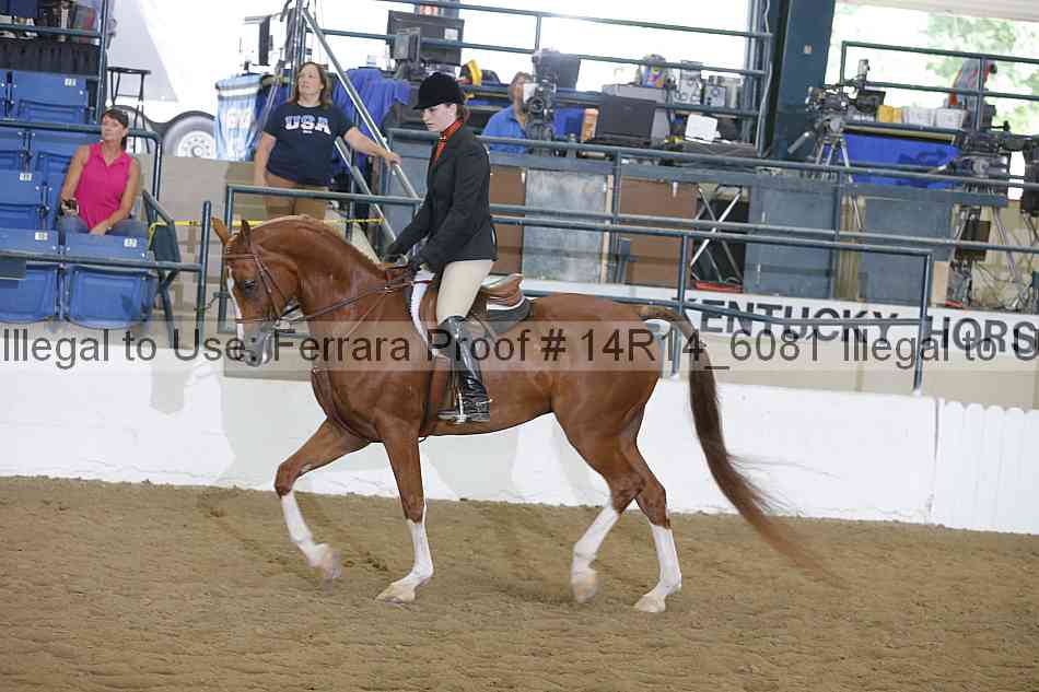 Proof Number 14r14_6081