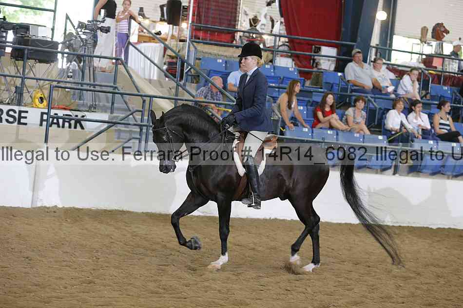 Proof Number 14r14_6082