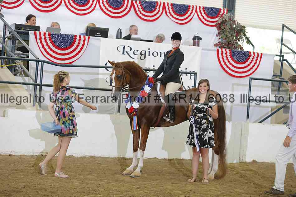 Proof Number 14r14_6088