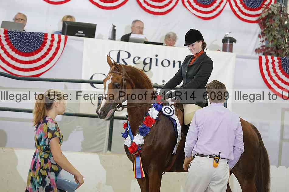 Proof Number 14r14_6089