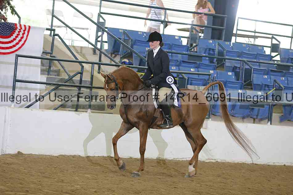 Proof Number 14r14_6091