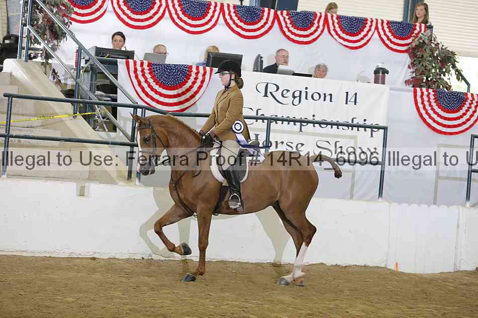 Proof Number 14r14_6096