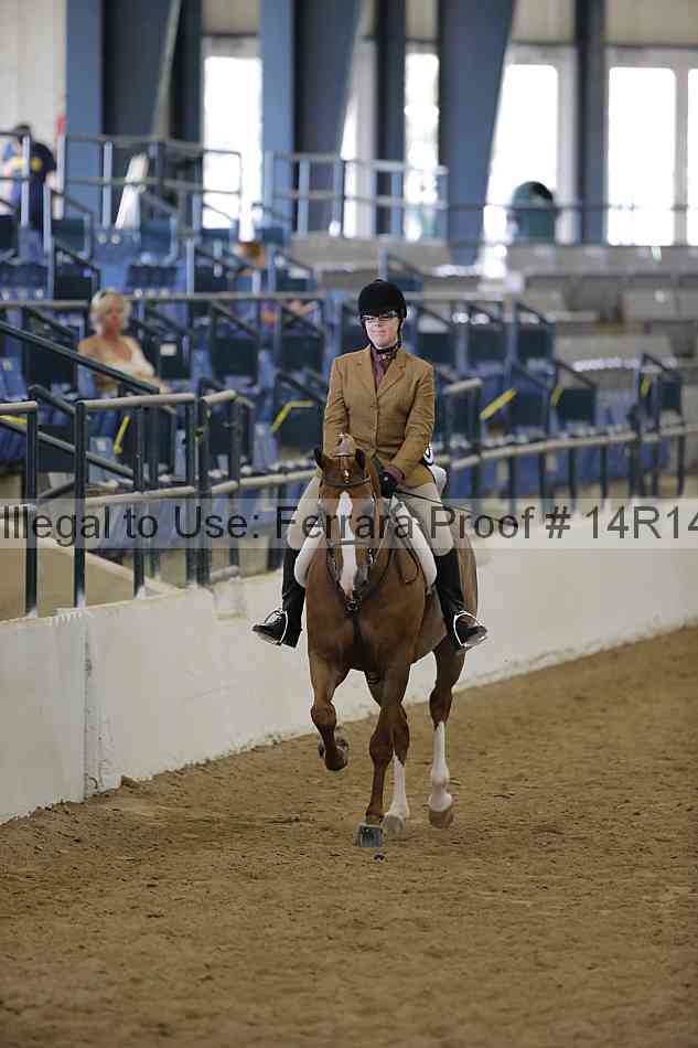 Proof Number 14r14_6097