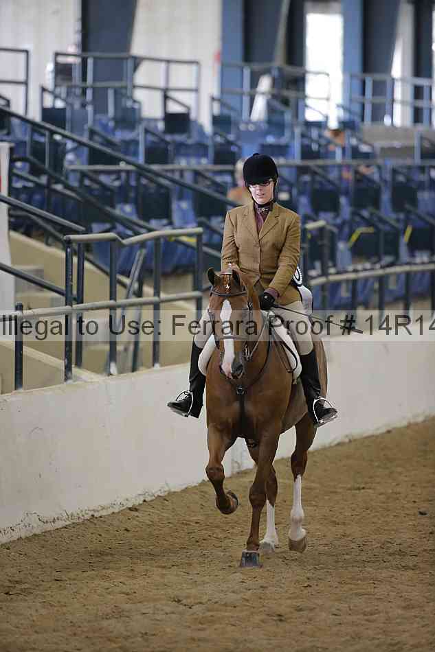 Proof Number 14r14_6098