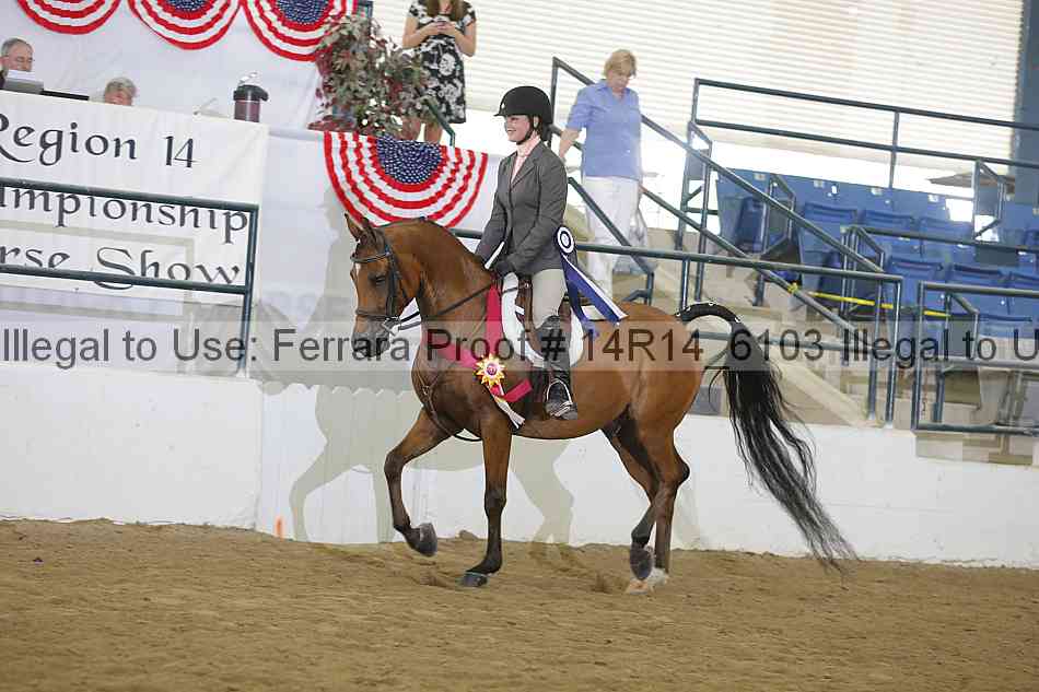 Proof Number 14r14_6103