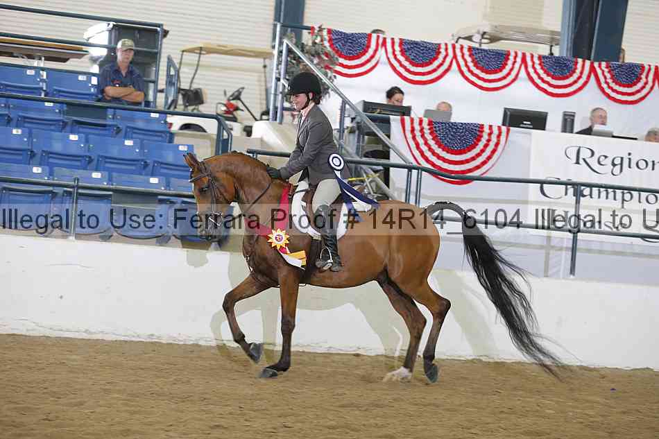 Proof Number 14r14_6104