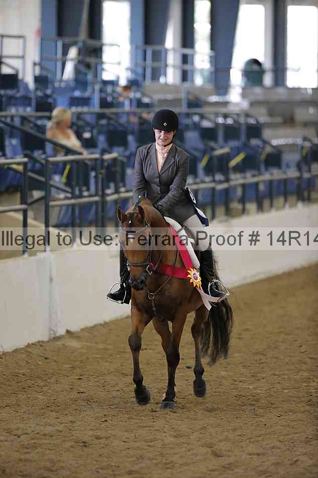 Proof Number 14r14_6107
