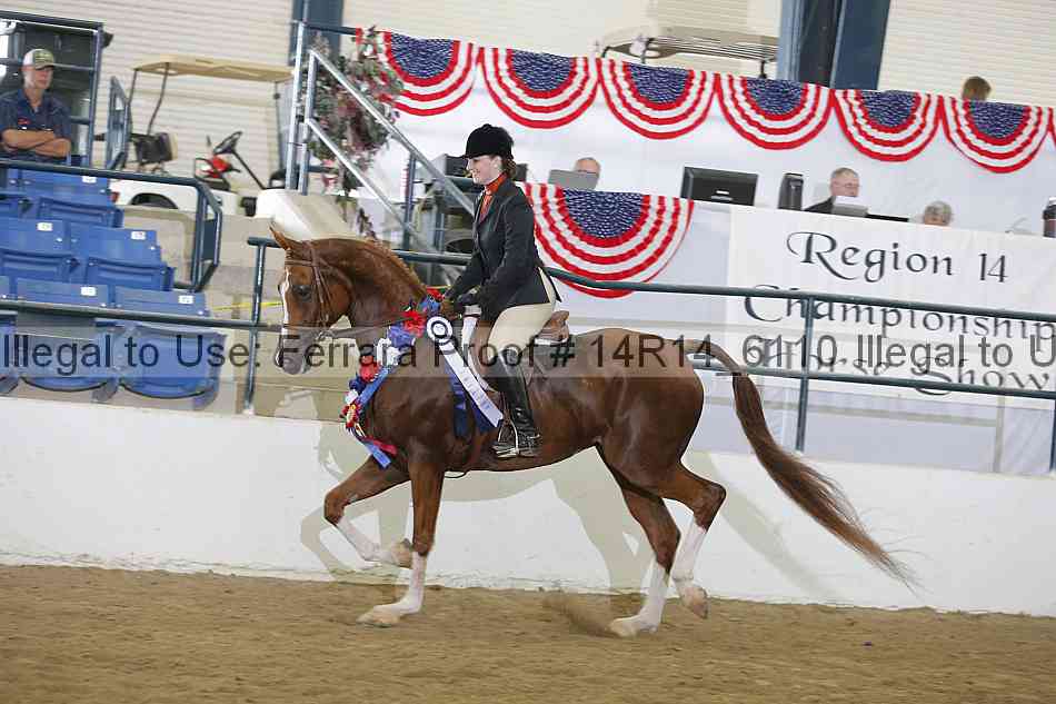Proof Number 14r14_6110