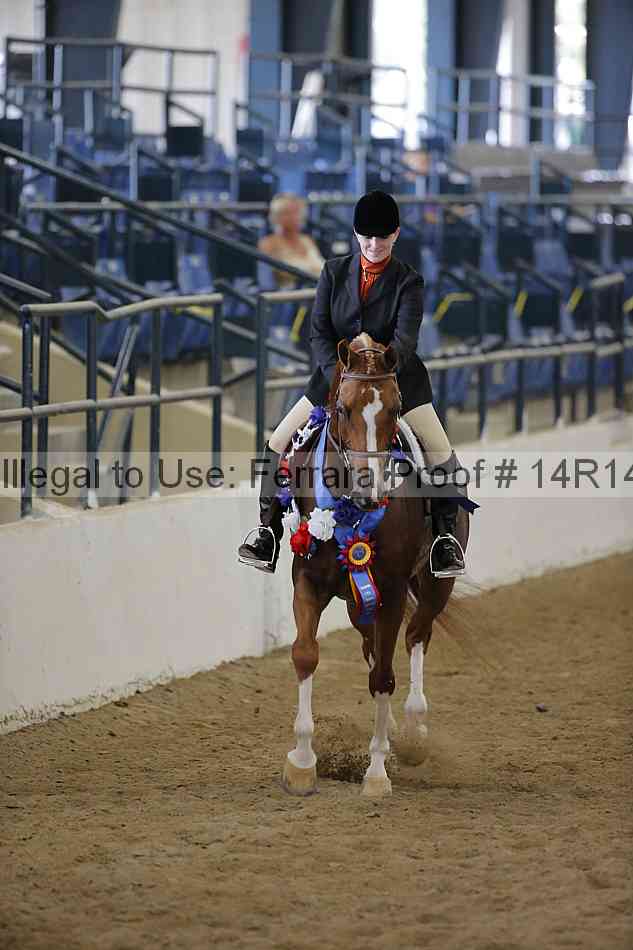 Proof Number 14r14_6112