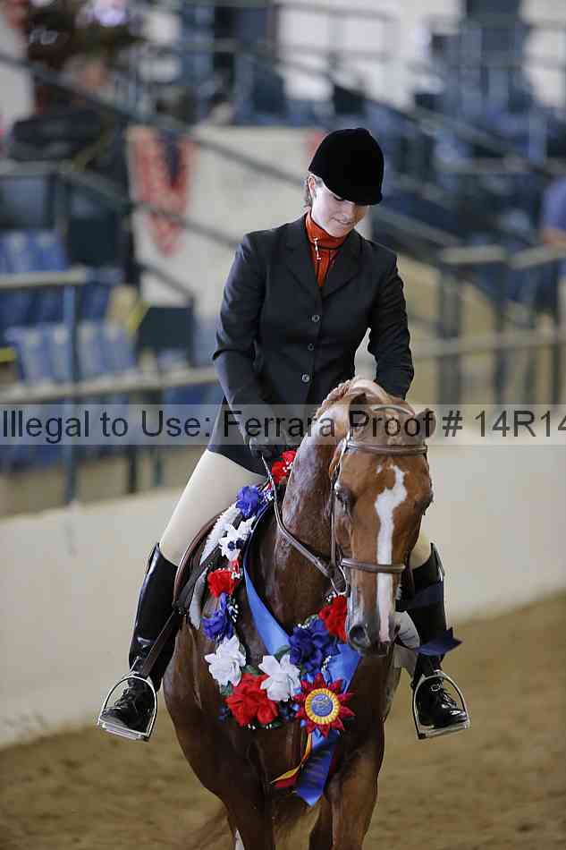 Proof Number 14r14_6114
