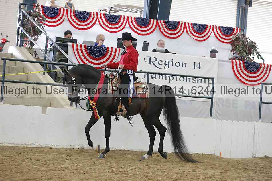 Proof Number 14r14_6244