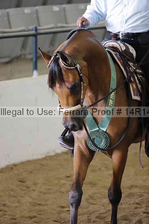 Proof Number 14r14_6246