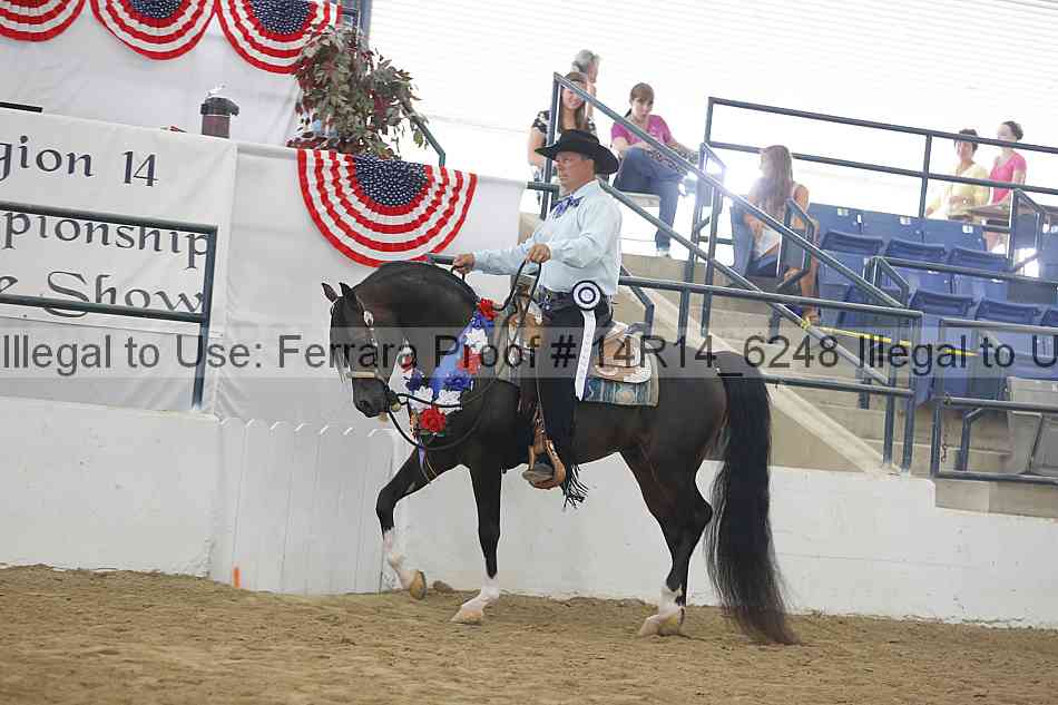 Proof Number 14r14_6248