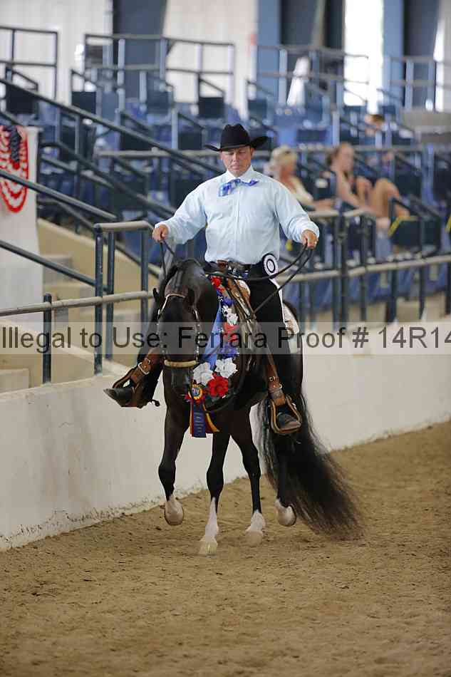 Proof Number 14r14_6252