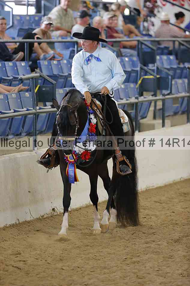 Proof Number 14r14_6255