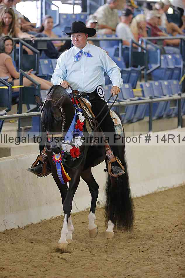 Proof Number 14r14_6256