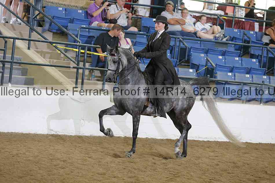 Proof Number 14r14_6279