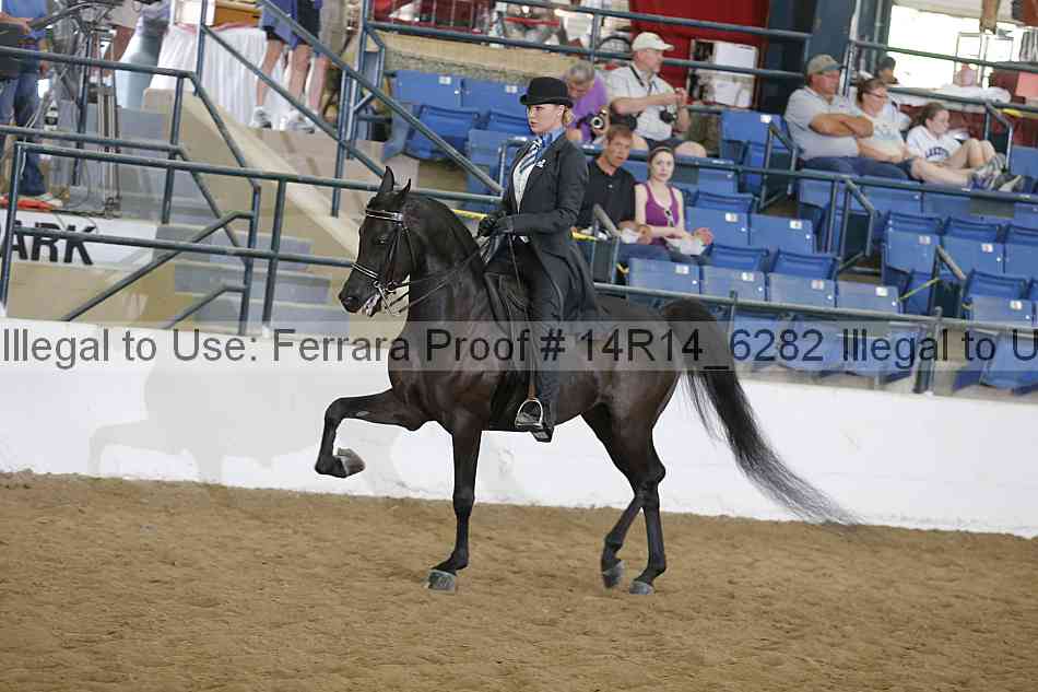 Proof Number 14r14_6282
