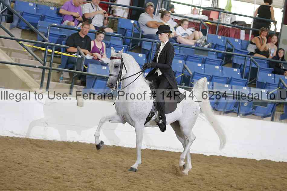 Proof Number 14r14_6284