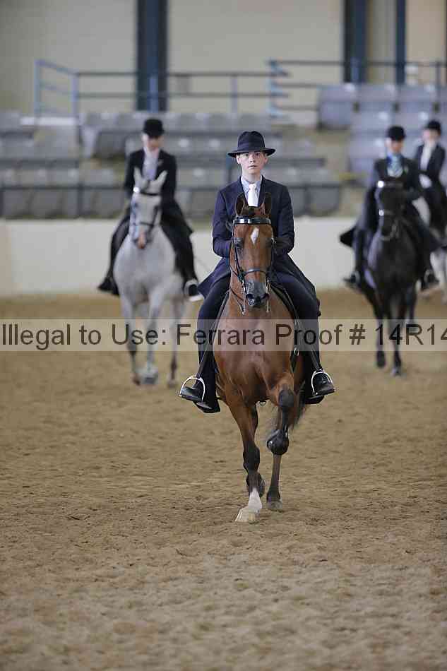Proof Number 14r14_6290