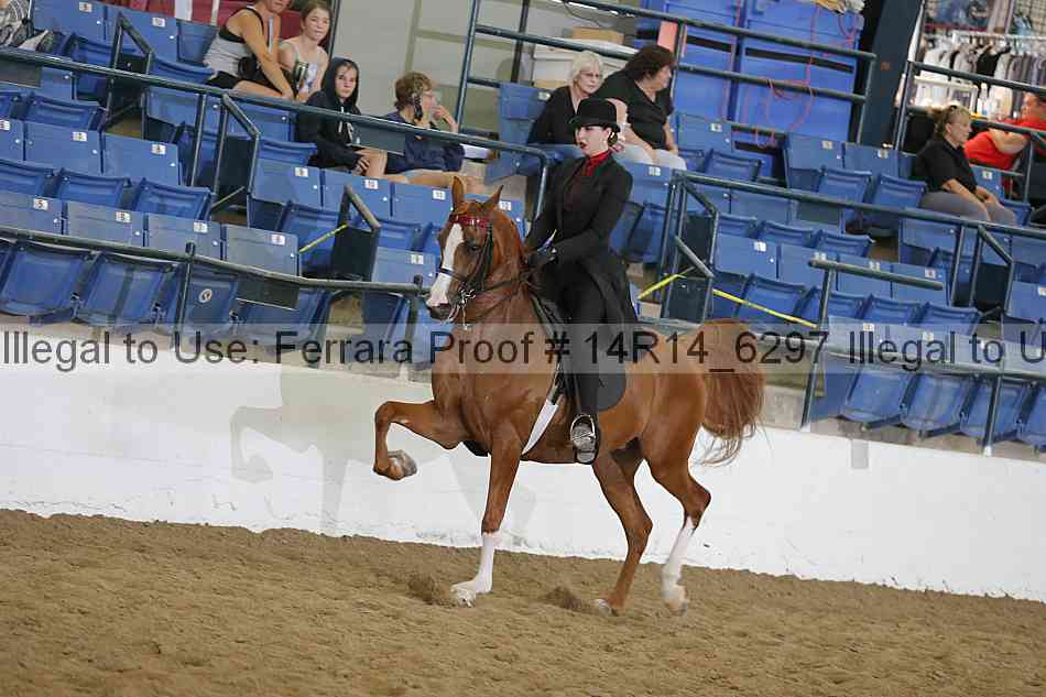 Proof Number 14r14_6297