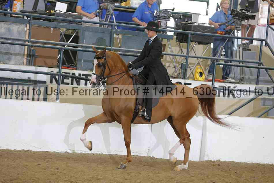 Proof Number 14r14_6305