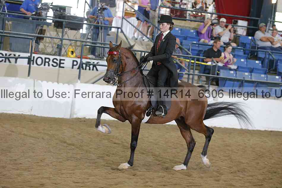 Proof Number 14r14_6306